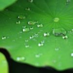 レーザー距離計の防水性能 IPXとか生活防水ってどう違うのか