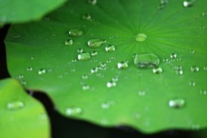 レーザー距離計の防水性能　IPXとか生活防水ってどう違うのか