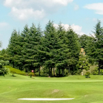 アイレリーフとは？