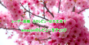レーザー距離計のレビュー ウソと本当の見分け方